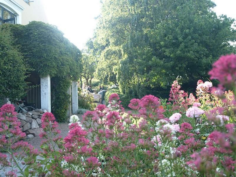 Bed and Breakfast Danchelshus Allinge-Sandvig Exterior foto